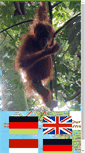 Mobile Screenshot of depary-adventure-sumatra.com